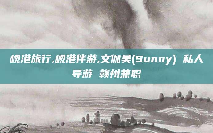 孝感岘港旅行,岘港伴游,文伽昊(Sunny) 私人导游 赣州兼职