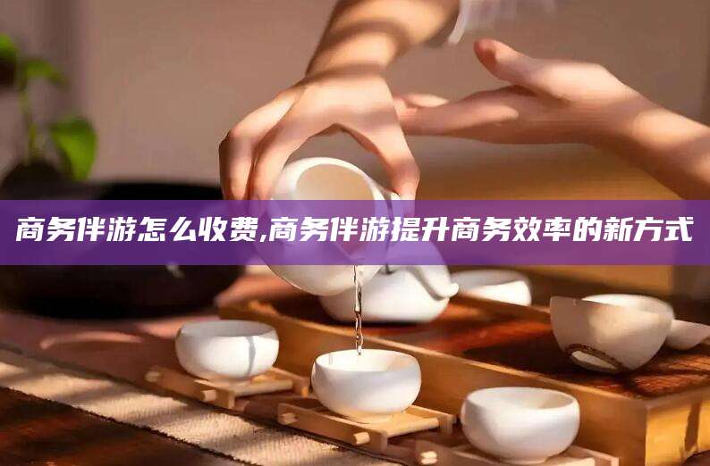 孝感商务伴游怎么收费,商务伴游提升商务效率的新方式